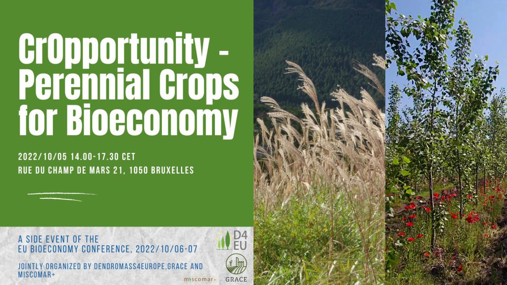 “CrOpportunity – Perennial Crops for Bioeconomy” (5 October 2022) – side event at the EU Bioeconomy Conference 2022 in Brussels