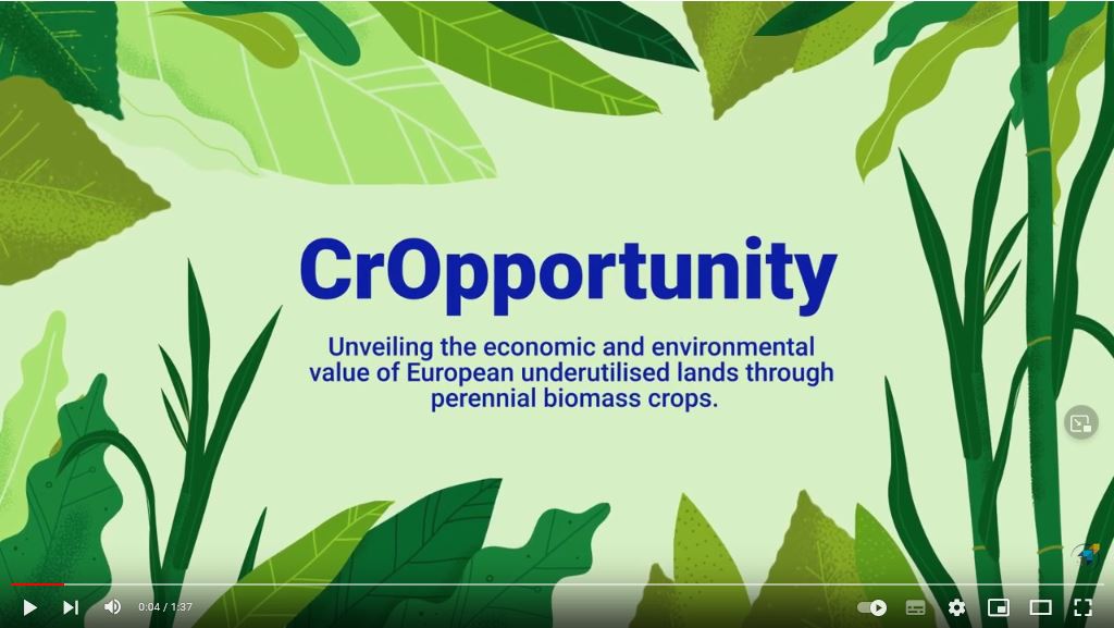 Miscomar+ project in the video - CrOpportunity: revealing the economic and environmental value of unused EU land